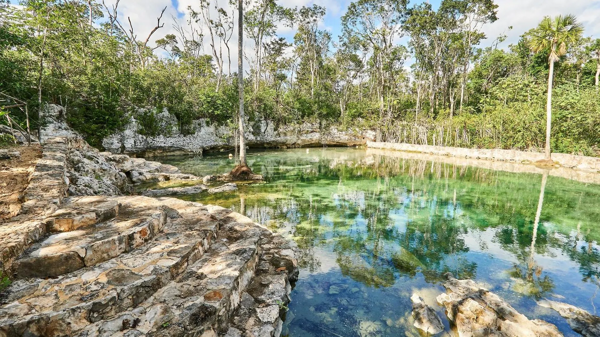 טולום Villa Tortuga Lux 4 Bdr Big Garden*Pool *Cenote 0*,